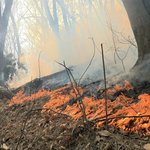 [속보] <b>경주</b> 문무대왕면 산불 국가소방동원령 발령