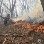 우리 동네에 산불 <b>예전</b>에 났었는데....