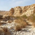 [유다이즘] 왜 토라가 <b>광야</b>에서 주어졌는가?