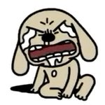 아 <b>대학</b>붙었는데 왤케 수특 풀고싶지