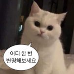 빛이