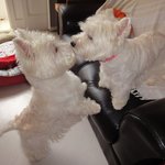 알바 같이하는 분이 자꾸 나한테 <b>귀척</b>해..