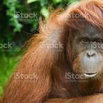 극혐상 얼굴외모특징