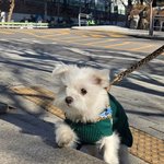 윤택이 자연인 찍다가 입양했다는 <b>강아지</b> 근황