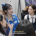 <b>안유진</b>이랑 수이랑 진짜 닮았다