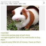 [드루와] <b>생일</b> 이벤트?이런거 진짜 하는애들안하는애들