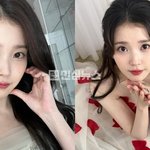 아이유 간첩설 유포자 <b>벌금형</b>, 허위 표절 의혹 제기자 3000만...