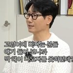 <b>턱시도</b> 냥이 키운다는 연예인, 집사들은 다 이래?