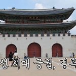 <b>반려동물</b> 출입 제한되는 궁에 들락거리는 강아지