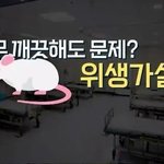 우리가 적당히 더럽게 살아야 하는 이유.jpg