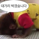 &amp; 물벼락 기본 옵션 극한 알바 ㄱㄴ? (<b>feat</b>. 연기 필수)