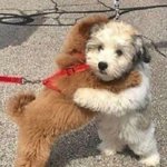 <b>프리허그</b>날