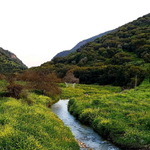 [유다이즘] 안식일에 누리지 못하는 <b>나머지</b>