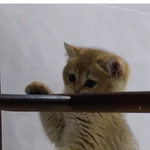 [<b>레이</b>] 사담)발래타임