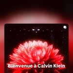 <b>제니</b> 캘빈에서 다시 데려왔나봐