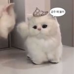왔다 ^^ 애기 <b>공주</b>