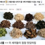 [하고싶은말] <b>인정</b>