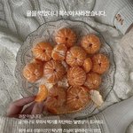 [회사<b>생활</b>] 귤 드세요 손이 노래지도록