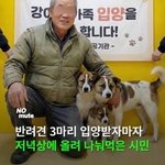 근데 왜 <b>개고기</b>를 먹으면 안됨?