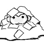 <b>블루</b>레이디 테슬람들 물흐리는 거 심하긴 함