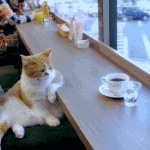 흠