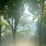 아이폰 공기계 ㅊㅊ