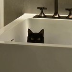 [군대] 탕이 진짜 귀엽긴 <b>한데</b>