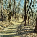 잘보면 <b>보임</b>..