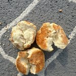 [속보] 낚싯바늘 빵 반려견놀이터 <b>CCTV</b>서 용의자 포착됐다