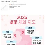 2026 벚꽃 개화 <b>지도</b>