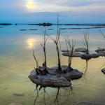 [유다이즘] "우리"의 문제