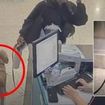 비행기 못 태운다고 공항에 <b>강아지</b> 버리고 간 여자... 진짜 인류애...