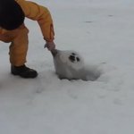 [드루와] 3일에 한번 <b>머리</b>감는거 드러움??ㅠㅠ