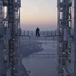 리즈 이거 진짜로 올라간 거래