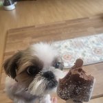 <b>초코바</b> 맛있네