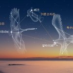 이게 그 삼각  후흣 이에요..