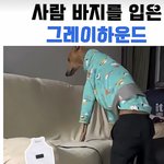 [댓글부탁해] 요즘 <b>유튜브</b> 왜이럼