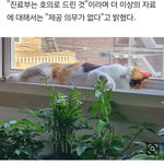 <b>반려동물</b>이 중성화 수술한날 하늘로 갔어요