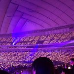 라이즈 <b>도쿄돔</b> 잘째웠네 + 오리콘 역주행1등