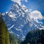 다들 산다고 <b>고생</b>이 많다.