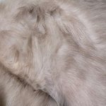 <b>울집</b> 냥이 그루밍 왤캐 못하지