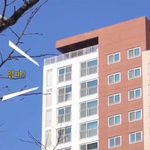 정지선 셰프 말 잘 듣는데 안 듣는 <b>펭수</b>