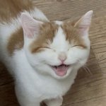 난 왤케 <b>가난</b>할까