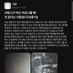 와 <b>사랑니</b>대신 어금니를 뽑을수가 있나