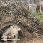 <b>새벽</b>에 눈뜨면