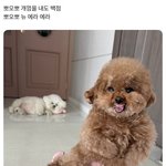 [댓글부탁해] <b>건대</b> 글캠 인식 어떰??