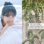 사진 SNS 게시 "입장부터 <b>눈물</b> 꾹" (+주무관, 무한도전, 무도...