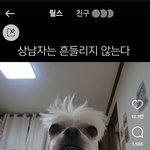 아나 이거보고 5분동안 개<b>웃음</b>