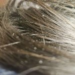 나는 <b>머리</b>를 얼마나 안감을 수 있을까 (혐주의)