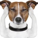 [드루와] 얘들아 대학교 오티 무조건<b>참석</b>하라는 학교